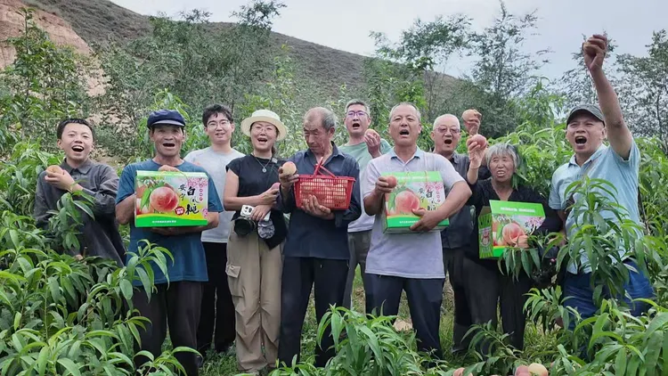 图片 12